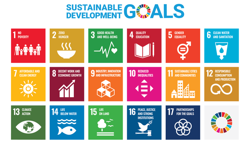 Carbon Finance supporting the SDGs through Climate Impact Partners