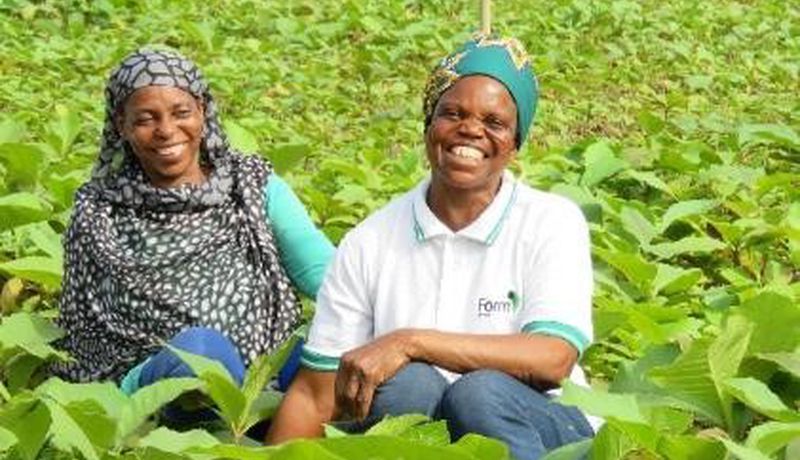 Climate Impact Partners supporting community in Ghana through this Ghanaian Reforestation project