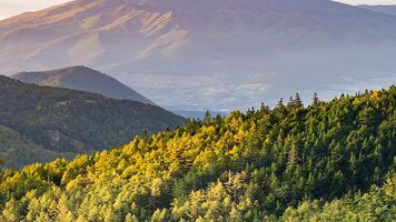 Protecting Forests in mountain areas is critical for reducing soil erosion, landslides and protecting the water table as well as reducing flooding downstream